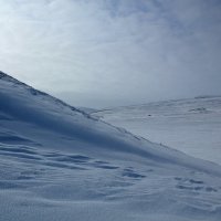 такой холодный Север... :: Алл@ ))