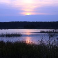 Рассвет над Финским заливом. :: Сергей Тупало