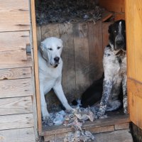 ...Папа Серёжа,не ругайся,мы ТАК:)) по тебе скучали:)) :: Рудаков Сергей 