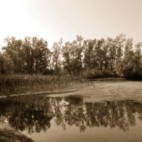 Озеро :: Сергей Босов