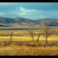 Казахстан,вид из окна поезда :: Андрей Краснолуцкий