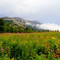 ...  там , где  небо  встретилось  с  землёй ... :: Марина Юдинских