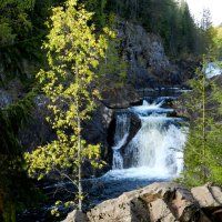 Водопад Кивач :: Наталья Левина