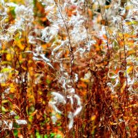 Художница-Осень.../картина вторая/ :: Андрей Вестмит