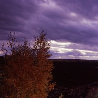 Осеннее небо :: OMELCHAK DMITRY 