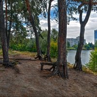 На крутом берегу в сказочном, сосновом бору :: Лидия Цапко