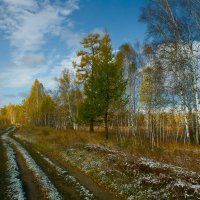 Сентябрь. Прогулка в осень (2) :: Николай Морский 