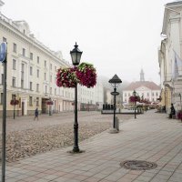 Tartu, Utrennij tuman :: Rena Vi