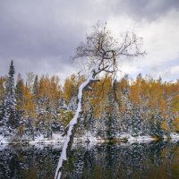 ОСЕНЬ НА ХАМАР-ДАБАНЕ :: Дмитрий ВЛАСОВ