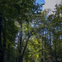 Лучи осеннего солнца :: Владимир Хижко