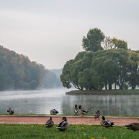 Утро в парке :: Панова Ольга