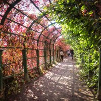 Фотопрогулка в Петергоф. :: Nonna 