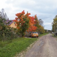 Осень в нашей деревне. :: Виктор Елисеев