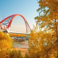 the Bridge :: Георгий Муравьев