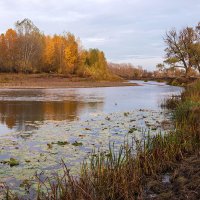 Вечерело... :: Любовь Потеряхина