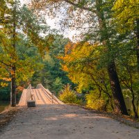 дорога в осень :: наташа 