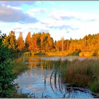 Пейзаж с осенью :: Николай Дементьев 