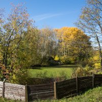 Осень в самом разгаре :: Наталья 