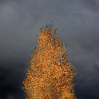 огненная осень :: Андрей Полозов