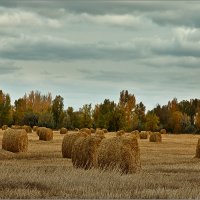 Осенняя зарисовка... :: Александр Смольников