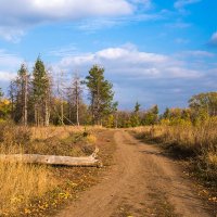 Погожий  денёк :: Любовь Потеряхина