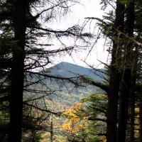 Fall in Vermont :: Vadim Raskin
