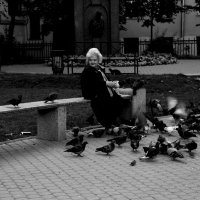 Женщина , кот и голуби.... :: Елена Разумилова