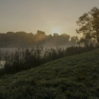 Утро :: Николай Климович