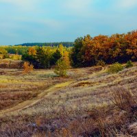 По дороге в лес :: Юрий Стародубцев