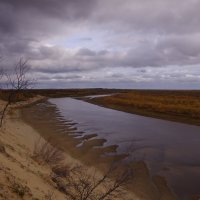 Песчаные берега, холодные реки :: Медведев Сергей 
