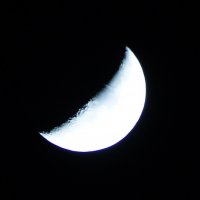 Половинка Луны :: Елена Сазонтова