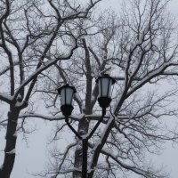 зима, улица, фонарь :: Инга Егорцева