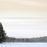 Мергуба :: Владимир Куц