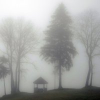 Беседка в тумане :: Николай Климович