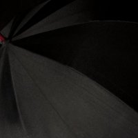 черное на черном зонт :: Михаил Криушонков