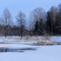 Зимне-весенний день! :: Анастасия Степанова