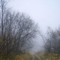 Дорога в туман :: Сергей Комков