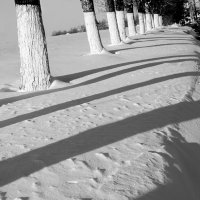 Игра снега и тени... :: Виктор Одинцов