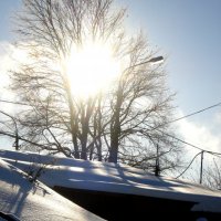 Солнце после снегопада :: Владимир Буравкин