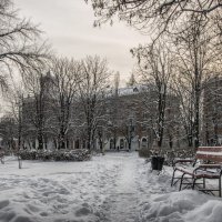 В городе зима :: Сергей Буйна