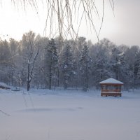 Замерзшее озеро :: Наталья Панина