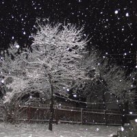 Первый снег :: Liubov Garkusha