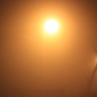 Ищем ёжика в тумане... :: Анна Романова