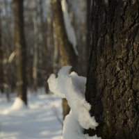 Шубка :: Елена Герасимова