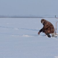 Ну, здравствуй, незнакомец! :: сергей крючков