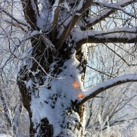 Светится ...от счастья.....солнышко выглянуло :: Людмила Минтюкова