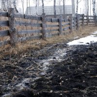 Талая вода :: Василий Данило