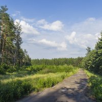 По дороге с облаками :: Игорь Чернишук