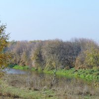 Подмосковье. Осень. :: Геннадий Александрович