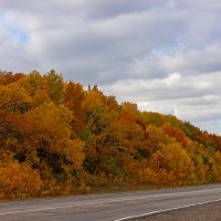 придорожный пейзаж. :: Людмила Крюкова